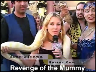 Revenge of the Mummy