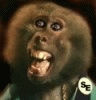 Dr_Freudstein's Avatar