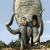 Doctor Kaiju's Avatar