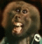 Dr_Freudstein's Avatar