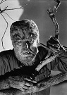 Wolf Man