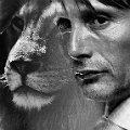 HanLion avie

"When the lion is in the room, you will know."

Except he didn't.